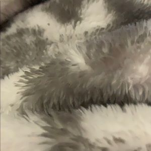 Meet your Posher, Chasity